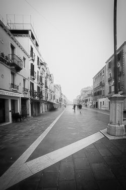 Monotone Monotone