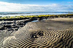 Canary Islands Canary Islands