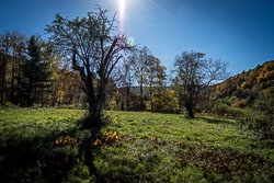 Catskill NY Foilage 2020 Catskill NY Foilage 2020