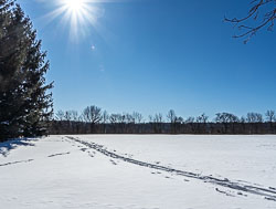 Hopewell Snow Day Hopewell Snow Day