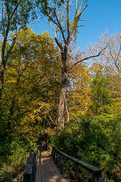 Lake House 100920 Lake House 100920
