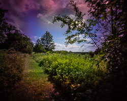 Obscura Lens 071221 Obscura Lens 071221